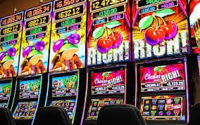 Tampilan aplikasi mutogel sportsbook dan live casino di perangkat mobile